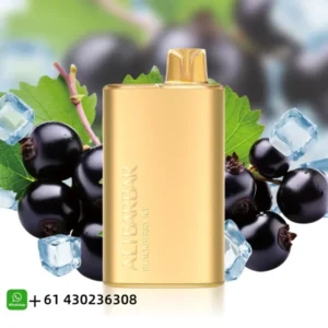 Alibarbar Rich Blueberry Ice 8000 Puffs