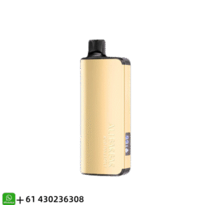 Alibarbar Ingot Kiwi Pineapple 20000 Puffs