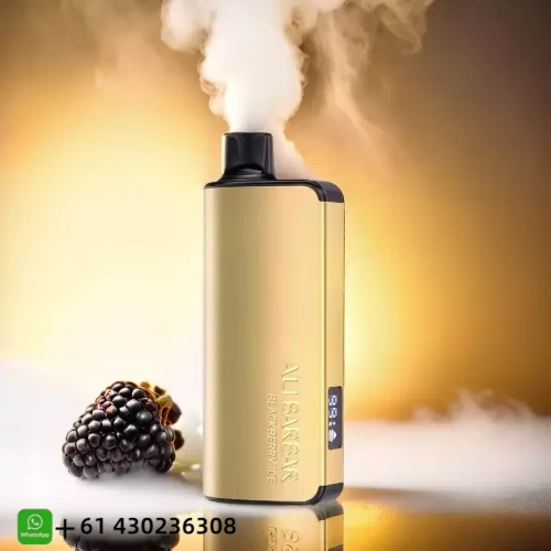 Alibarbar Ingot Blueberry Mint 9000 Puffs