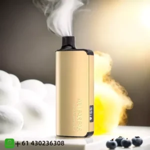 Alibarbar Ingot Blueberry Blast 9000 Puffs