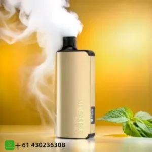 Alibarbar Ingot Cool Mint 9000 Puffs