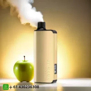 Alibarbar Ingot Double Apple 9000 Puffs