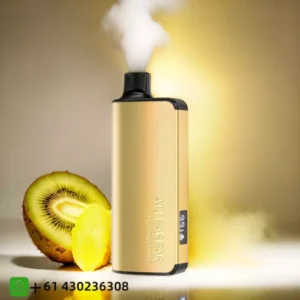 Alibarbar Ingot Kiwi Pineapple 9000 Puffs