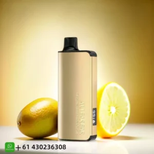 Alibarbar Ingot Passion Fruit Mango Lime 9000 Puffs