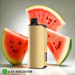 Alibarbar Ingot Watermelon Ice 9000 Puffs