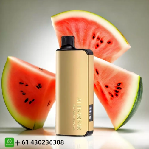 Alibarbar Ingot Watermelon Ice 9000 Puffs